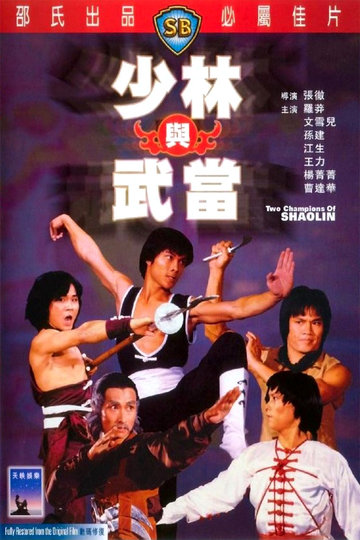 Das Grabmal des Shaolin