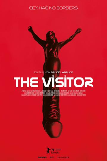 Poster The Visitor
