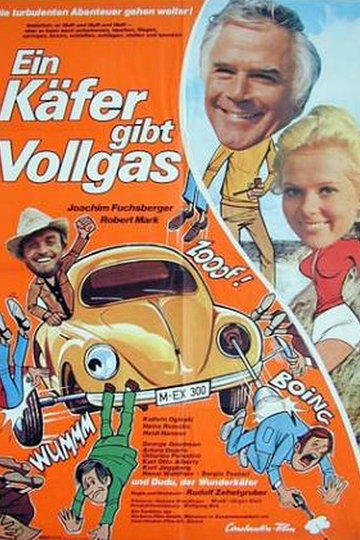 Ein Käfer gibt Vollgas