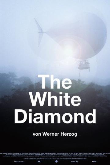Poster The White Diamond