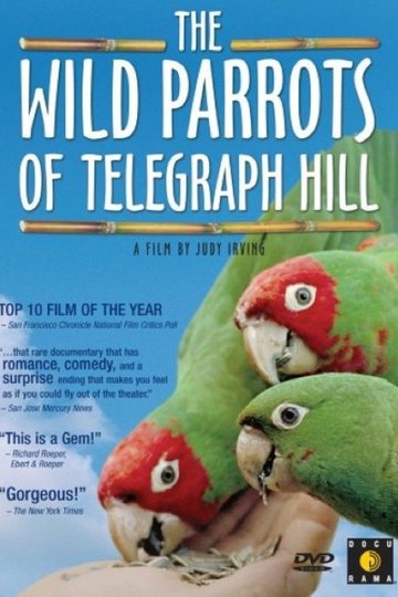 The Wild Parrots of Telegraph Hill Poster The Wild Parrots of Telegraph Hill