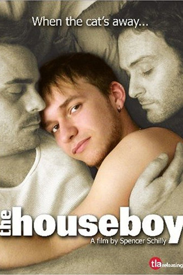 Poster The Houseboy