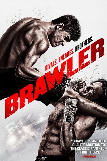 Poster Brawler