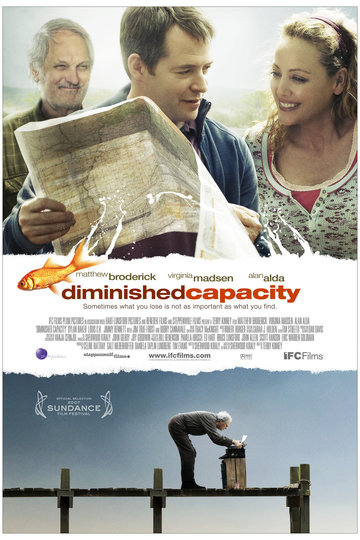Poster Diminished Capacity