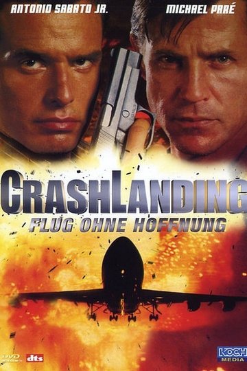 Poster Crash Landing