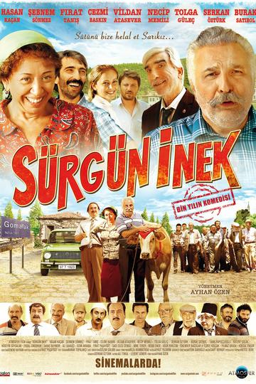 Poster Sürgün inek