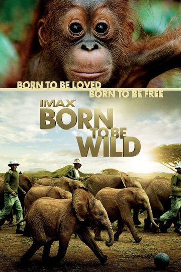 Poster Born to Be Wild