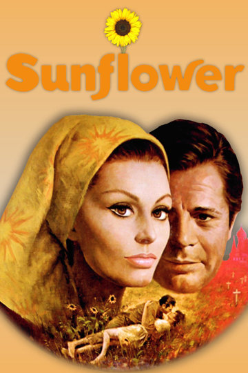 Poster Sonnenblumen