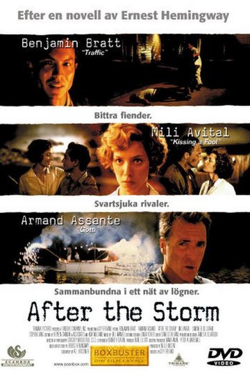 After the Storm