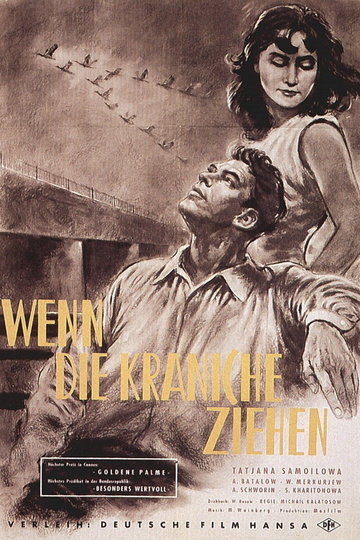 Wenn die Kraniche ziehen