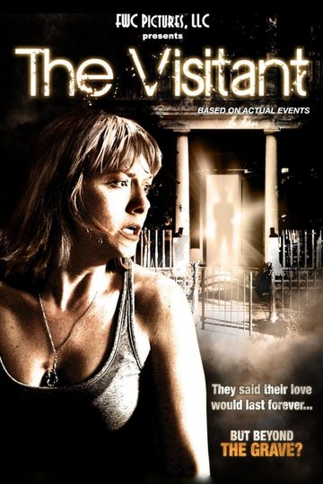 Poster The Visitant
