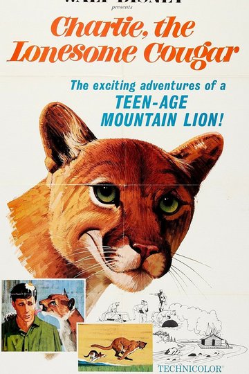 Poster Der einsame Puma