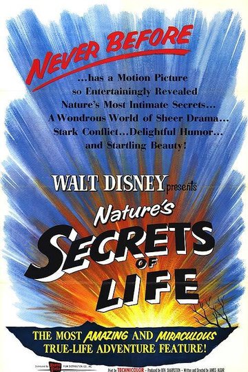 Secrets of Life Poster Secrets of Life