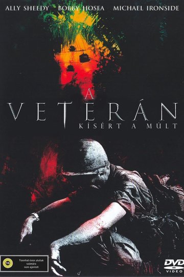 Poster The Veteran