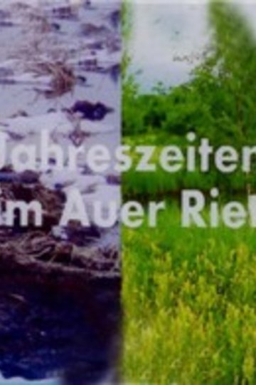 Poster Jahreszeiten im Auer Ried