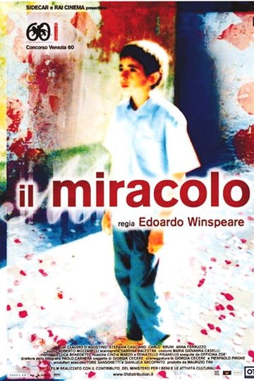 Poster The Miracle