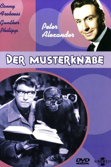 Poster Der Musterknabe