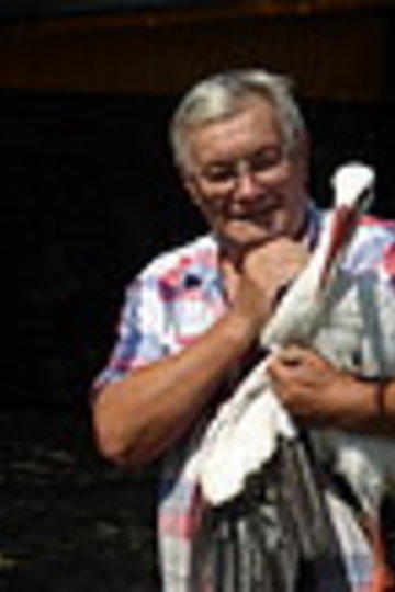 Poster Der alte Mann und der Storch