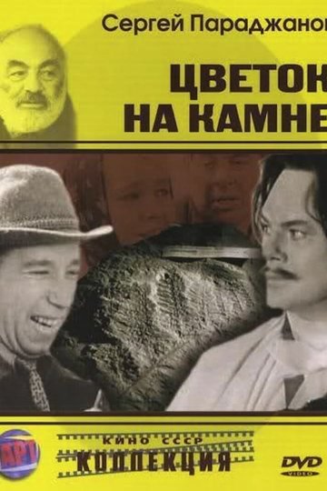 Poster Tsvetok na kamne