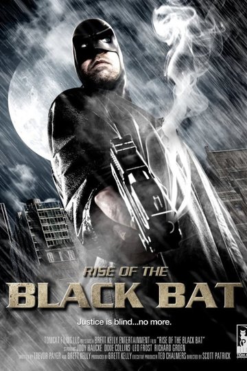 Poster Rise of the Black Bat