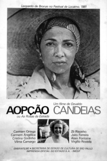 Poster A Opção