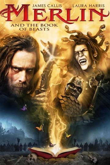 Poster Merlin and the Book of Beasts