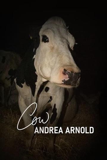 Poster Cow