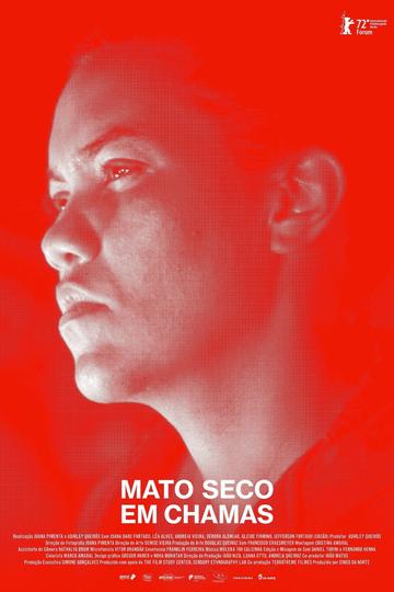 Mato seco em chamas Poster Mato seco em chamas