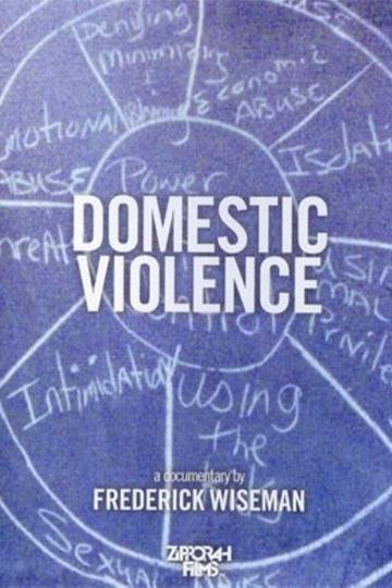 Domestic Violence Poster Domestic Violence