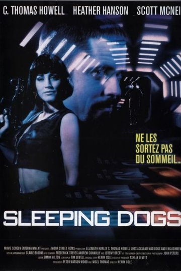 Sleeping Dogs