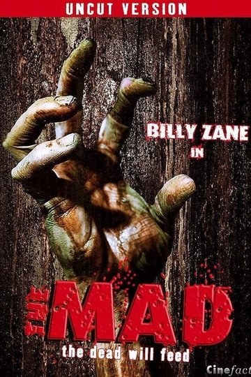 Poster The Mad