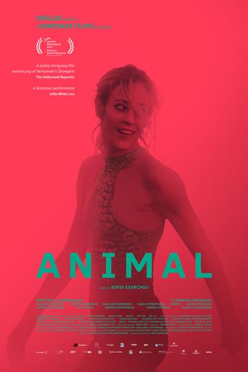 Animal Poster Animal