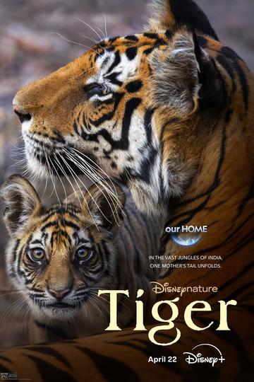 Poster Tiger