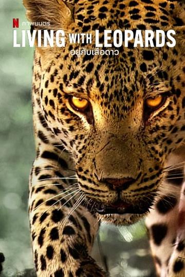 Leben mit Leoparden Poster Leben mit Leoparden