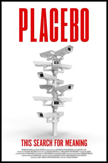 Poster Placebo: This Search For Meaning