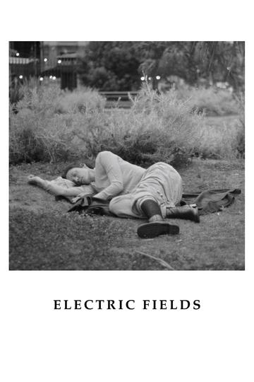 Electric Fields Poster Electric Fields