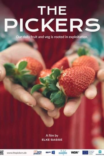The Pickers Poster The Pickers