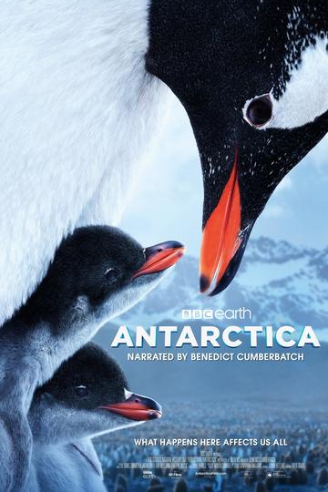 Poster Antarctica