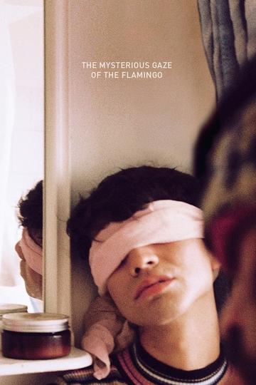 Poster The Mysterious Gaze of the Flamingo