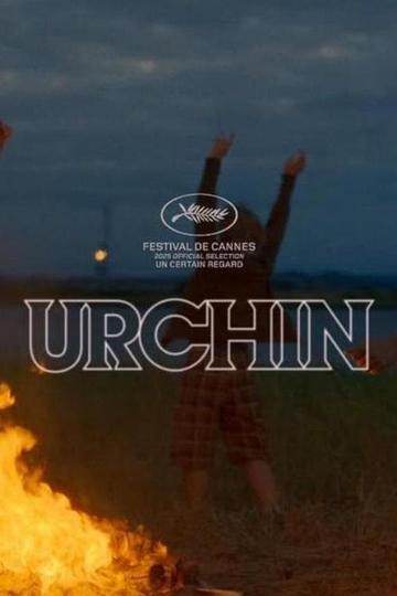 Poster Urchin