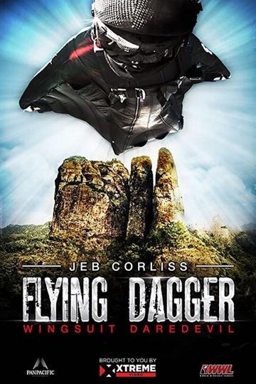 Poster Flying Dagger