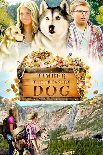 Timber the Treasure Dog