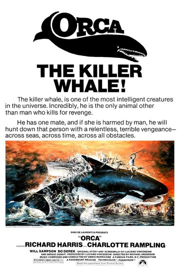 Orca, der Killerwal