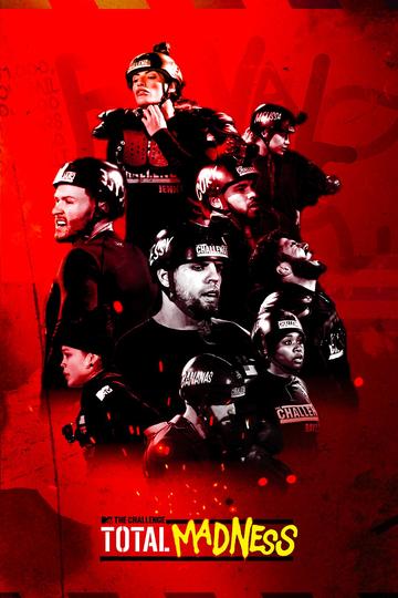 Poster The Challenge