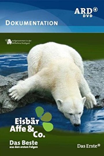 Poster Eisbär, Affe und Co.